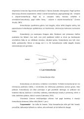 UAB „ELV projektai“ įmonės išorinė komunikacija 6 puslapis