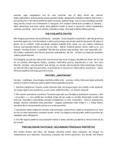 Pavydas ir neapykanta. Sąryšis, skirtumai 2 puslapis