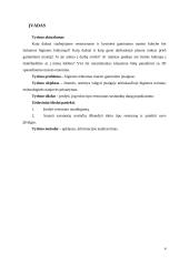 3D spausdinamo maisto restoranas 3 puslapis