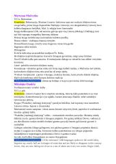 Autoriai. Konspektas