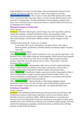 Autoriai. Konspektas 3 puslapis