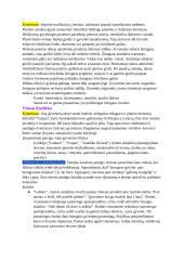 Autoriai. Konspektas 5 puslapis