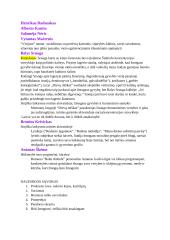 Autoriai. Konspektas 8 puslapis