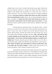 Emocinio išgyvenimo grynumas Šatrijos Raganos apysakoje ,,Sename dvare“ 2 puslapis