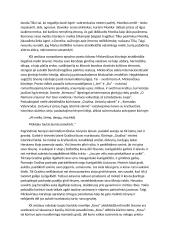 Meilės tema lietuvių literatūroje (kalbėjimas su planu) 2 puslapis