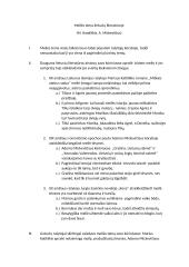 Meilės tema lietuvių literatūroje (kalbėjimas su planu) 4 puslapis