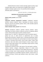 Individualaus ugdymo planas 2 puslapis