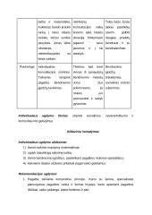 Individualaus ugdymo planas 5 puslapis