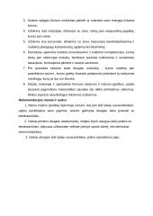 Individualaus ugdymo planas 7 puslapis