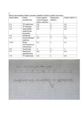 Riedmenų remonto egzaminas 2 puslapis