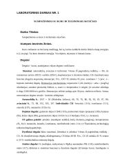 Transporto eksploatacinių ir konstrukcinių medžiagų praktiniai darbai 2 puslapis