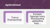 Tvarūs finansai 2 puslapis