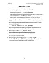 Skurdas Lietuvoje (referatas) 11 puslapis