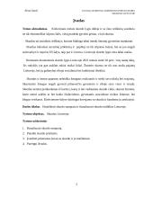 Skurdas Lietuvoje (referatas) 2 puslapis