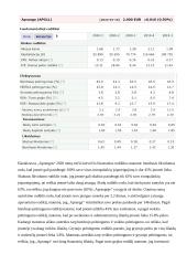 Finansų egzaminas - įmonių finansinė būklė 3 puslapis
