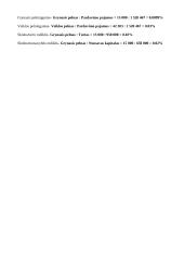 Finansų egzaminas - įmonių finansinė būklė 5 puslapis