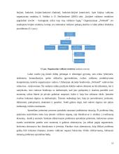 Organizacijos kūrimas ir valdymas  10 puslapis