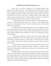 Organizacijos kūrimas ir valdymas  12 puslapis
