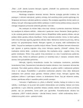 Organizacijos kūrimas ir valdymas  14 puslapis