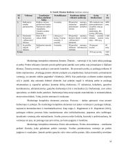 Organizacijos kūrimas ir valdymas  15 puslapis