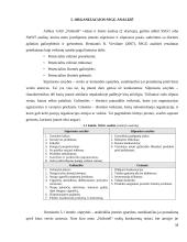 Organizacijos kūrimas ir valdymas  17 puslapis