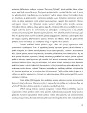 Organizacijos kūrimas ir valdymas  19 puslapis