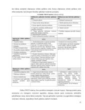 Organizacijos kūrimas ir valdymas  20 puslapis