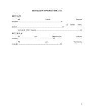 Organizacijos kūrimas ir valdymas  3 puslapis