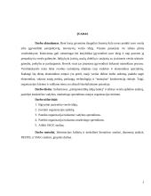 Organizacijos kūrimas ir valdymas  4 puslapis