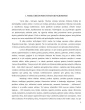 Organizacijos kūrimas ir valdymas  5 puslapis