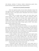 Organizacijos kūrimas ir valdymas  6 puslapis