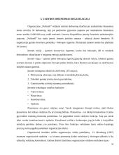 Organizacijos kūrimas ir valdymas  9 puslapis