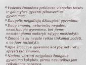 Eutanazija – teisė į orią mirtį? 13 puslapis