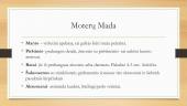 Baroko mados ir apranga 7 puslapis