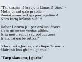 Maironis - skaidrės 2 puslapis