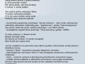 Maironis - skaidrės 11 puslapis