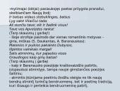 Maironis - skaidrės 14 puslapis