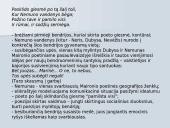 Maironis - skaidrės 15 puslapis