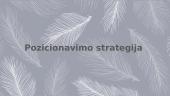 APPLE marketingo priemonės 16 puslapis