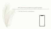 APPLE marketingo priemonės 17 puslapis