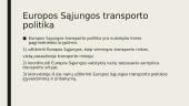 Transporto politikos esmė 4 puslapis
