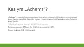 AB "Achema" 2 puslapis