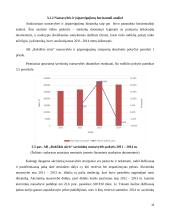 AB „Rokiškio sūris“ įmonės finansinė analizė 13 puslapis