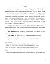 AB „Rokiškio sūris“ įmonės finansinė analizė 2 puslapis