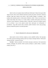 „N“ įmonės naujo produkto įvedimo į rinką  12 puslapis