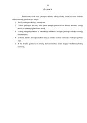 „N“ įmonės naujo produkto įvedimo į rinką  13 puslapis