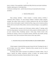 „N“ įmonės naujo produkto įvedimo į rinką  5 puslapis