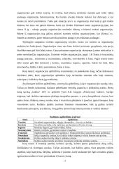 Organizacinė kultūra  (referatas) 2 puslapis