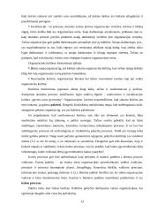 Organizacinė kultūra  (referatas) 13 puslapis
