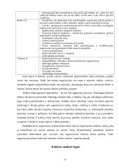 Organizacinė kultūra  (referatas) 17 puslapis